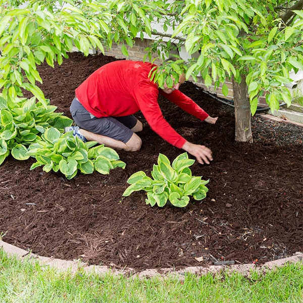 before mulch installation, we prepare the area by clearing debris and leveling the ground